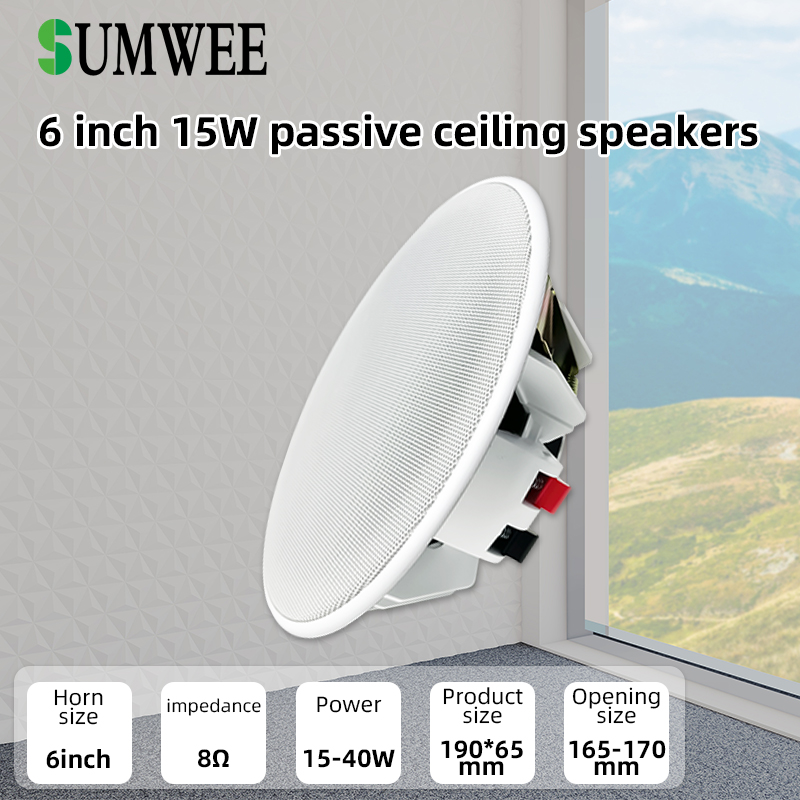 Audio Music In Background - 6 Inch 8ohm Ceiling Speaker Full