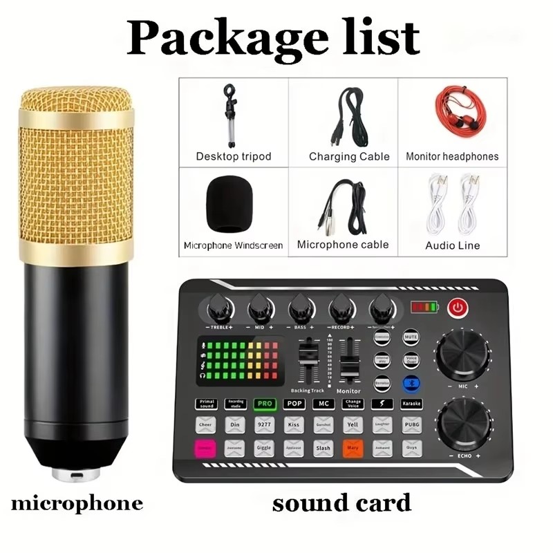 Audio Music Voice Changer - Condenser Microphone Professional Mic Wireless Bluetooth