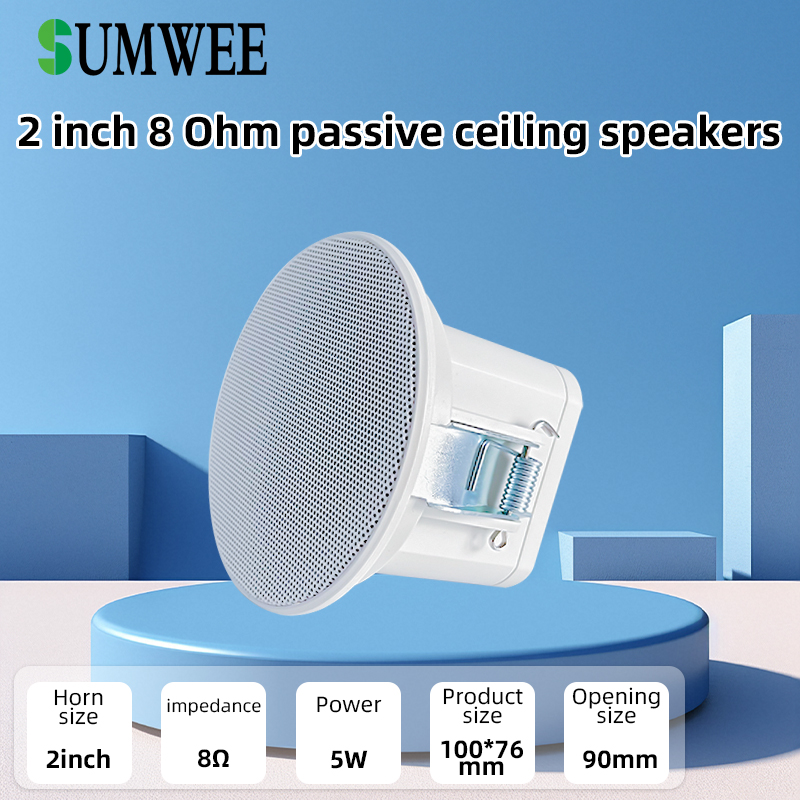 Audio Music In Background - 2Inch Mini 8 Ohm Ceiling Speaker