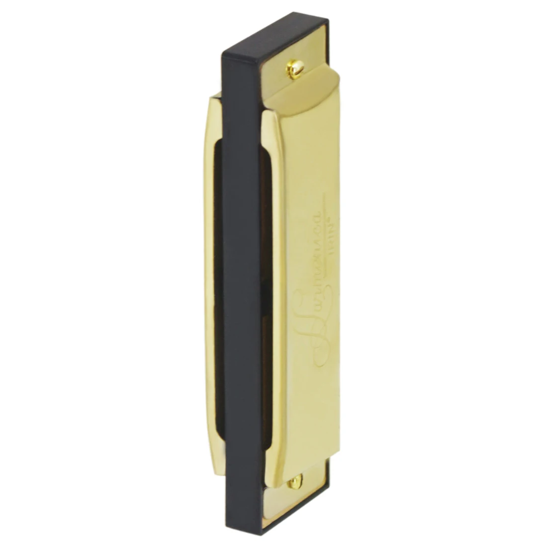IRIN Harmonica 10 Hole 20 Tone - đánh giá và giá Harmonica 10 Hole