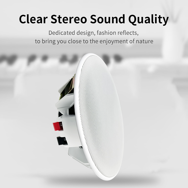 6 Inch 8ohm Ceiling Speaker Fu - đánh giá và giá Audio Music In Background