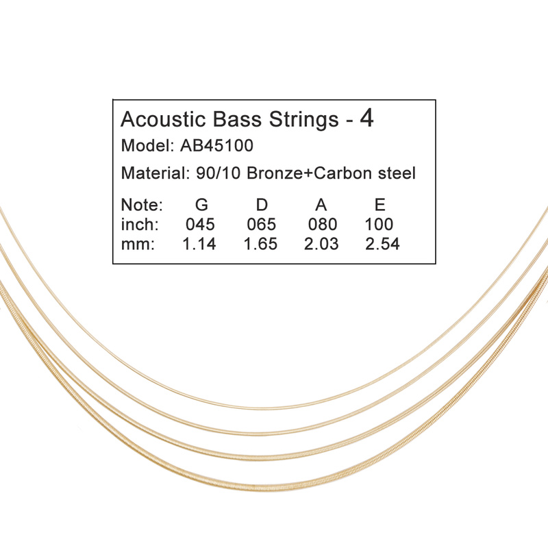 4 Dây Đàn Acoustic Bass Chống  - đánh giá và giá Bass Guitar Strings