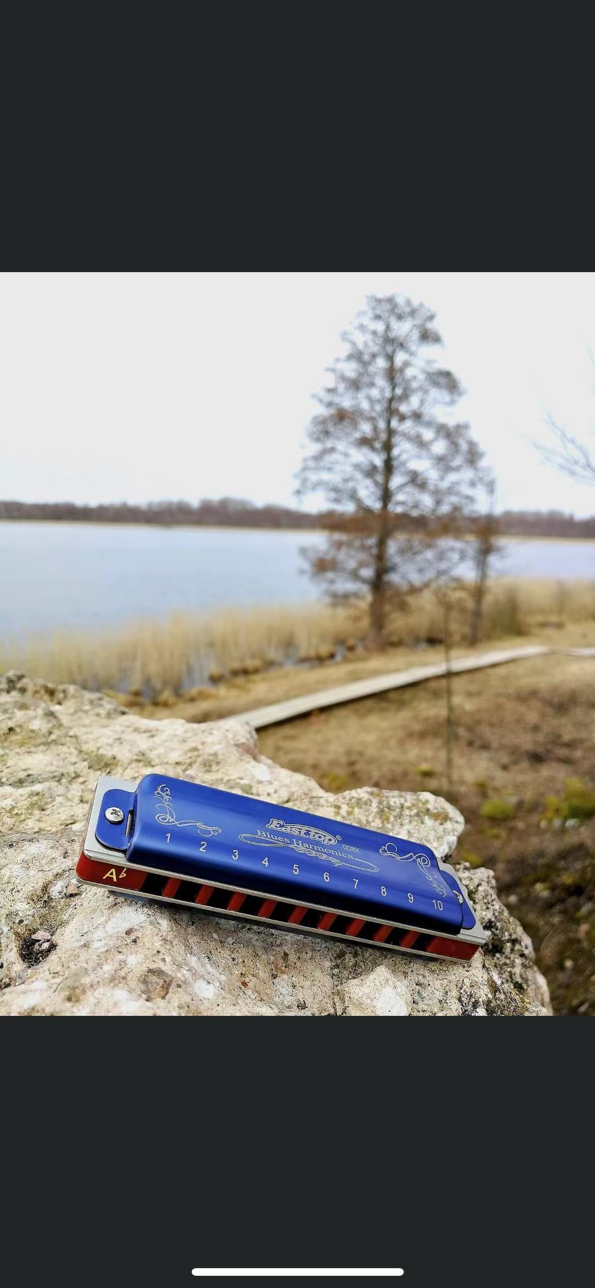 EASTTOP T008K Key of a New Blu - đánh giá và giá Harmonica 10 Hole