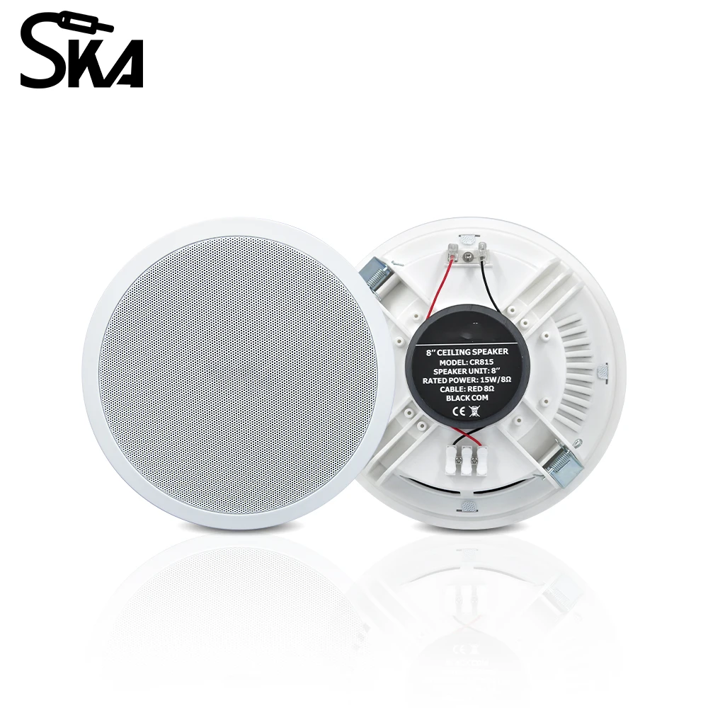 PW4420T+CR815 Smart Home Audio - đánh giá và giá Audio Music In Background