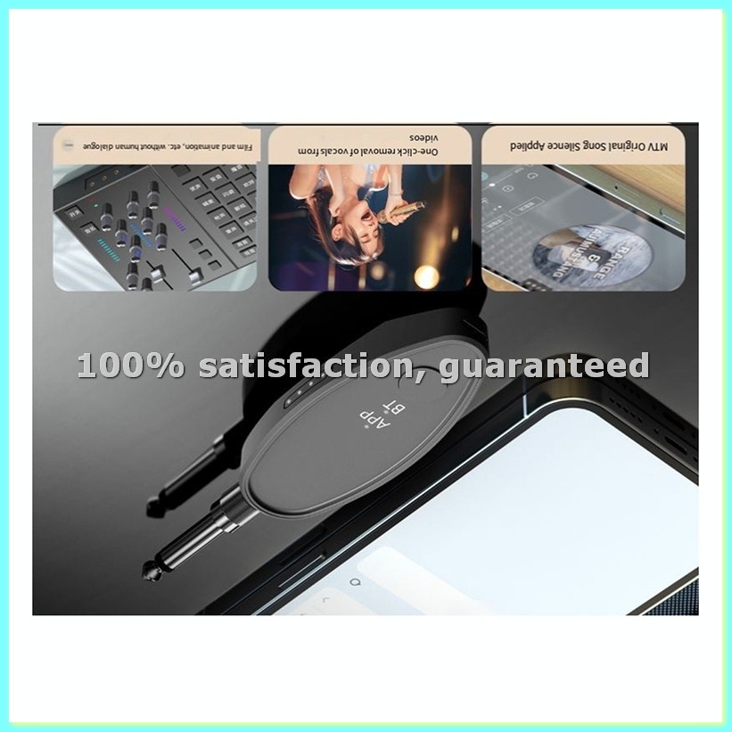 Audio Receiver Adapter 3.5/6.5 - đánh giá và giá Audio Music Vocal Remover