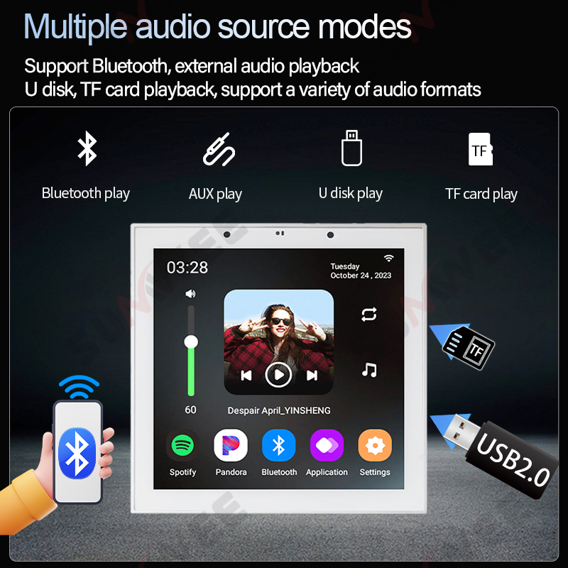 Home WIFI Smart Audio wall amp - đánh giá và giá Audio Music In Background