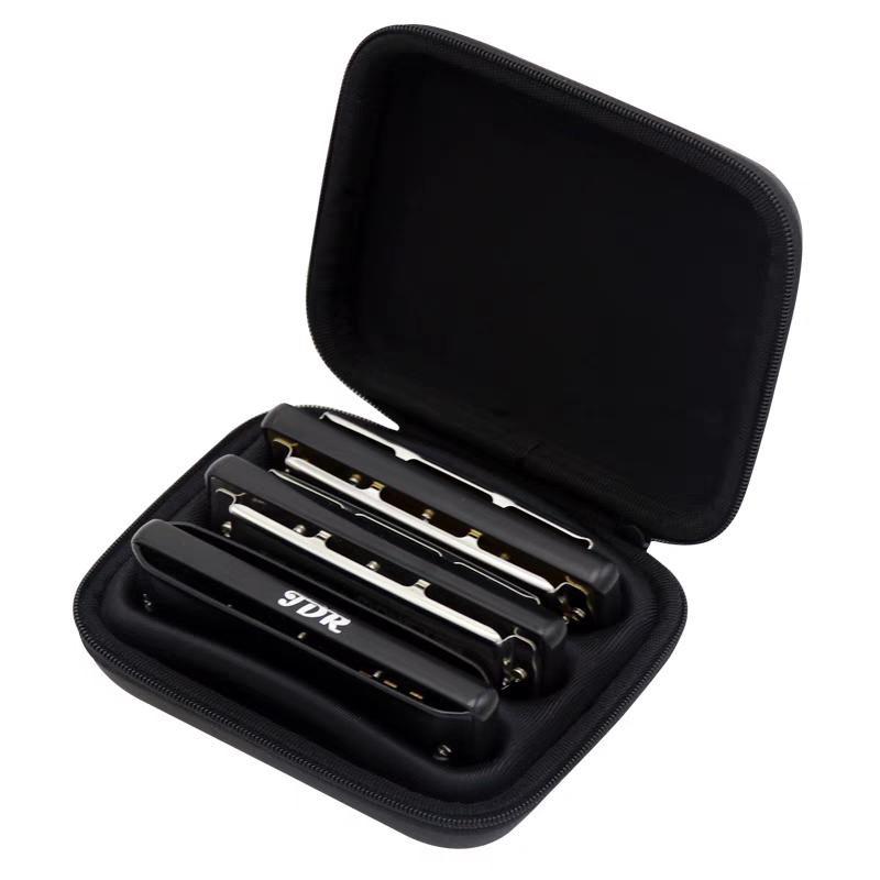 Diatonic Harmonica Case, 10 Ho - đánh giá và giá Harmonica 10 Hole