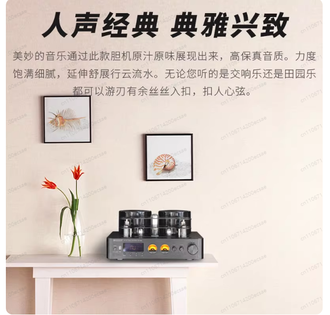220V 400W * 2 High Fidelity Wi - đánh giá và giá Audio Music In Youtube