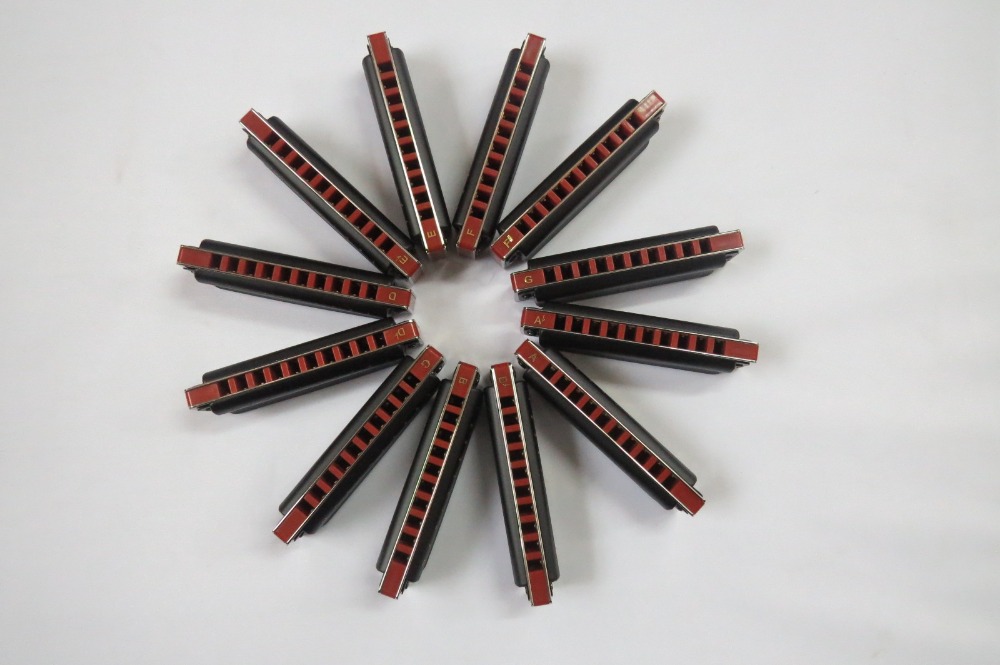 EASTTOP Blues Harp Miệng Cơ Qu - đánh giá và giá Harmonica 10 Hole