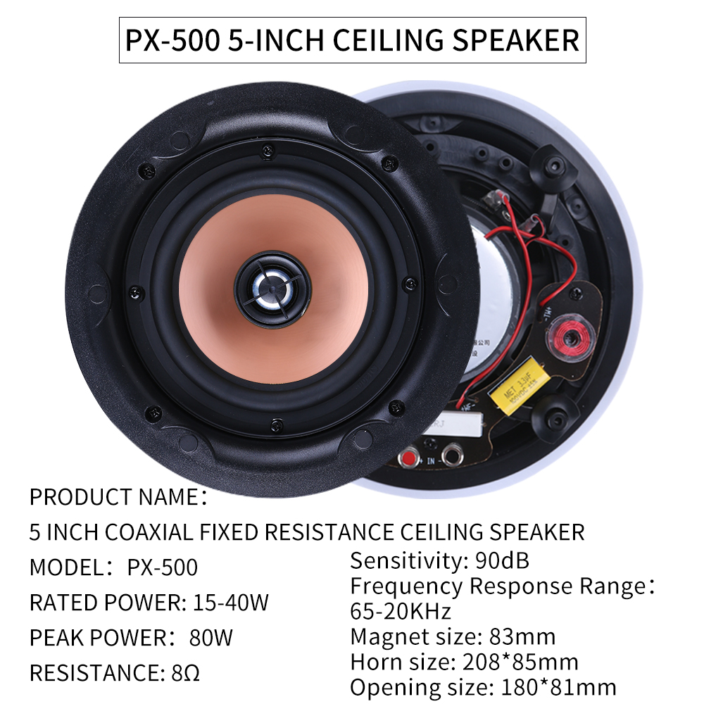 5.1 Home Theater Ceiling Speak - đánh giá và giá Audio Music In Background