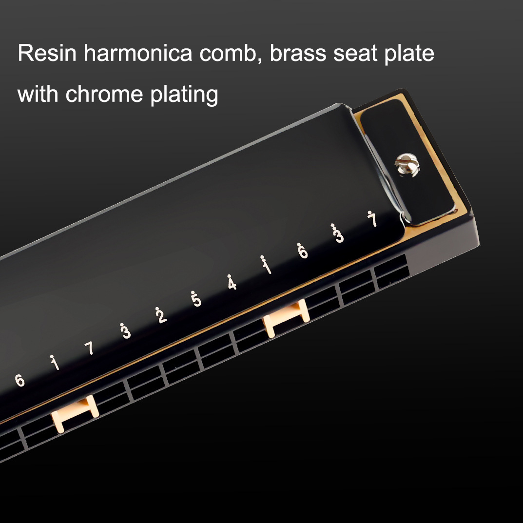 Guoguang Tremolo Harmonica 24  - đánh giá và giá Harmonica 10 Hole