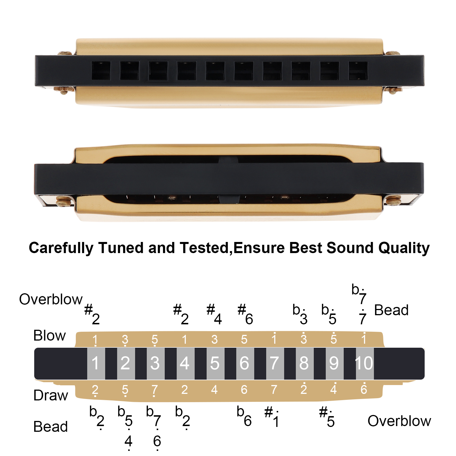 Silver / Gold KeyC 10 Hole 20  - đánh giá và giá Harmonica 10 Hole
