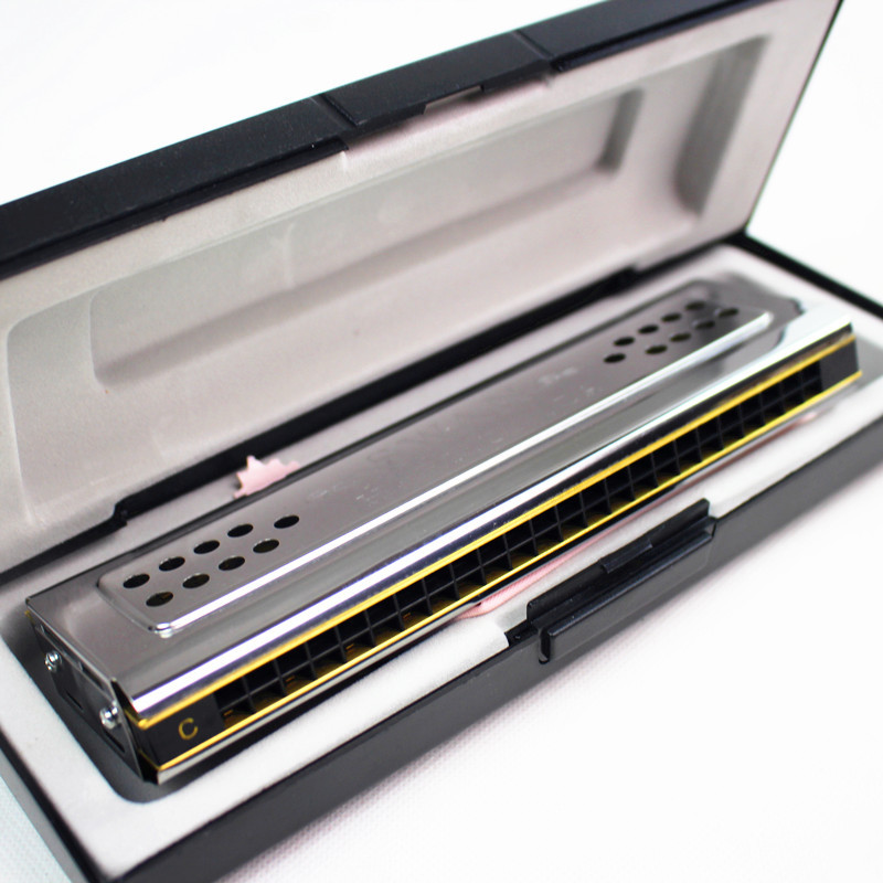 Both Sides Swan Harmonica Trem - đánh giá và giá Harmonica 10 Hole