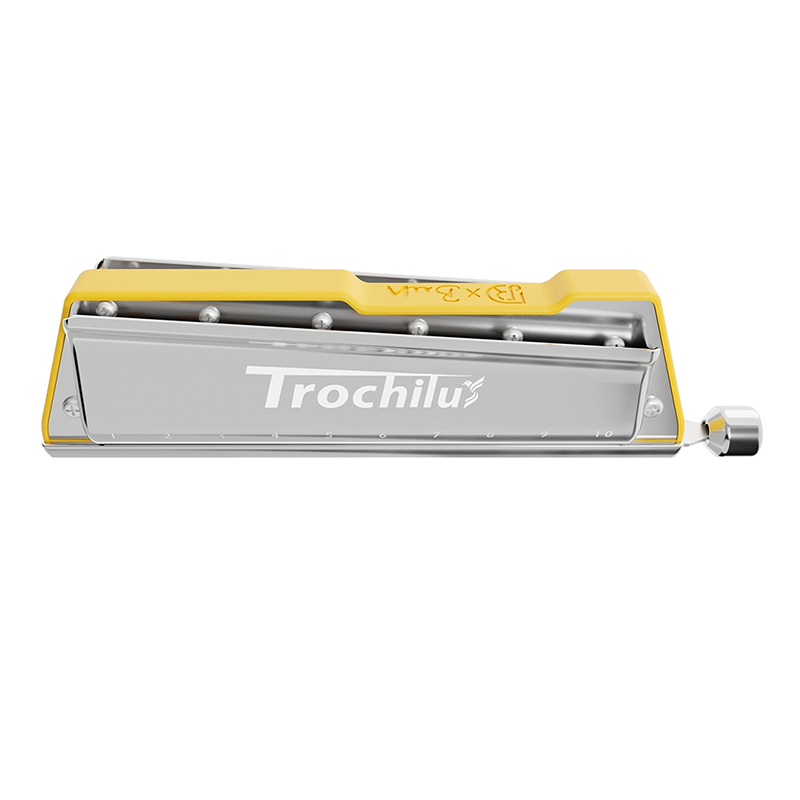 JDR Trochilus Harmonica Blues  - đánh giá và giá Harmonica 10 Hole