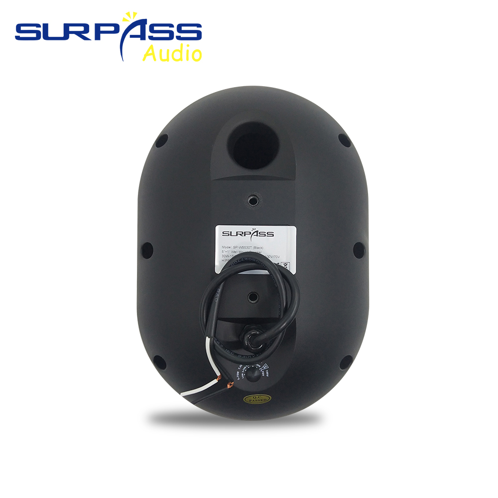 30W Wall-mounted Speaker Water - đánh giá và giá Audio Music In Background