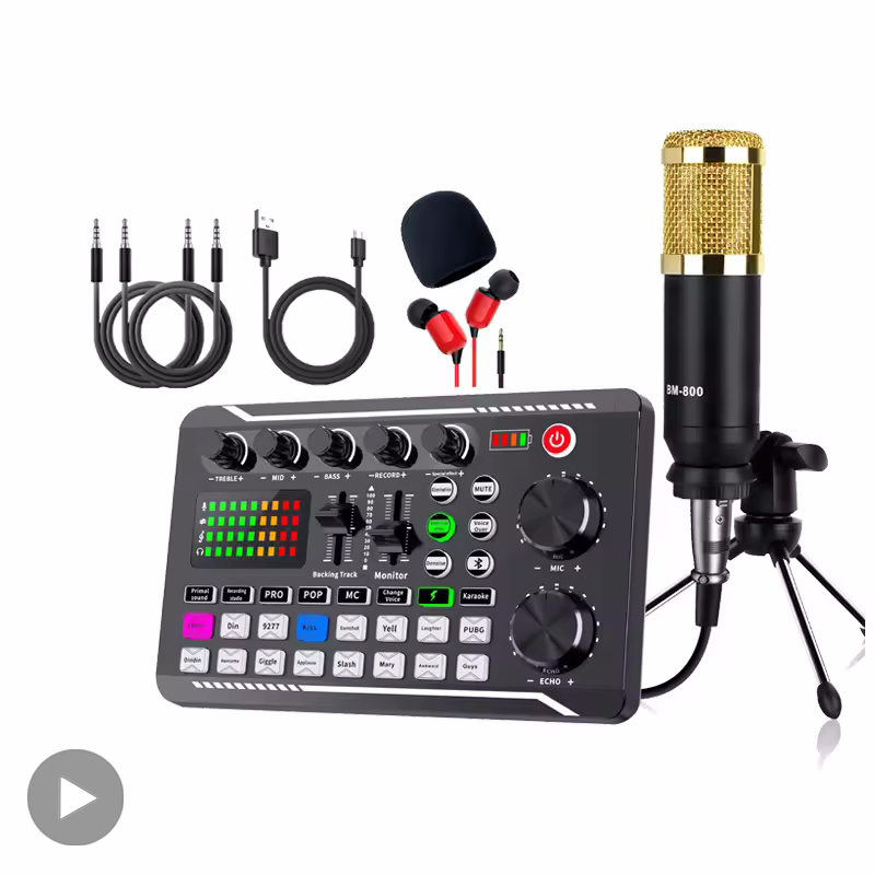 Professional Microphone Mic Bl - đánh giá và giá Audio Music Voice Changer